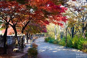 I'm Green Boutique House