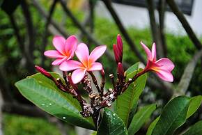 Cap Ouest by Dream Escapes