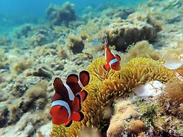 Parrot Resort Moalboal