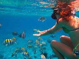 Parrot Resort Moalboal