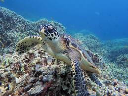 Parrot Resort Moalboal