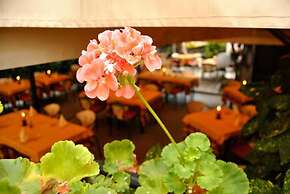 Hotel Ristorante Fiorentino