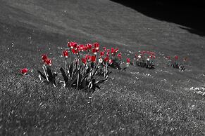 Hotel Ristorante Fiorentino