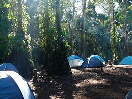 Alto Tambopata Lodge & Campsite