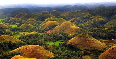 Panglao Island Inn - Hostel