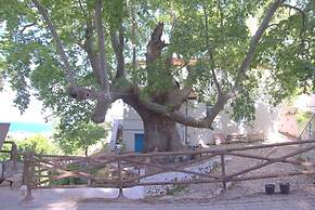 Uzum Iskelesi Butik Otel