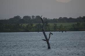 Makulu Safari Camping