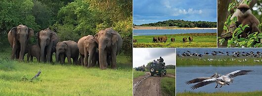 Cassandra Culture Resort