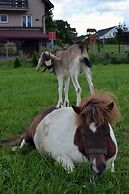 Zajazd Agro nad Stawem