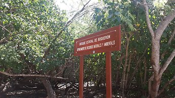 Luichy's Seaside Hotel