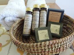 Hotel Simple Patagonia