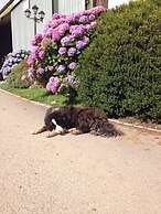 Frankaborough Farm Holiday Cottages