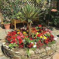 Frankaborough Farm Holiday Cottages