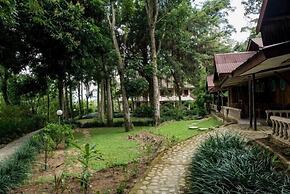 Ecolodge Bukit Lawang