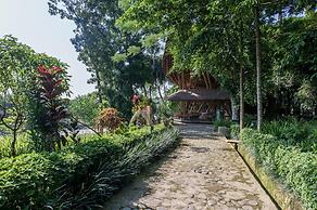Ecolodge Bukit Lawang