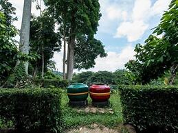 Ecolodge Bukit Lawang