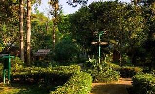 Ecolodge Bukit Lawang