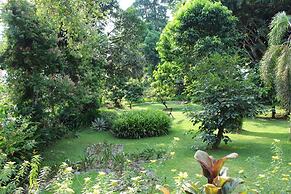 Ecolodge Bukit Lawang