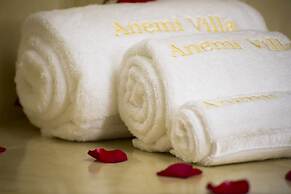 Anemi House & Villas