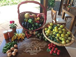 Agriturismo del Sole