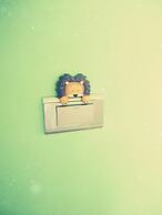 Fly in Sunnyday