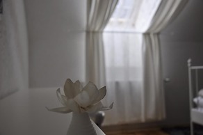 Guesthouse Stari Tisler