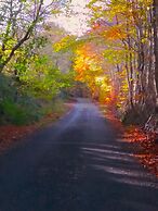 Loch Ness Highland Cottages