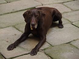 Château des Marcilly Talaru