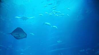 Toyoko Inn Osaka Semba Higashi