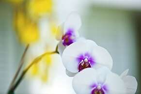 Opal Key Resort & Marina, Key West