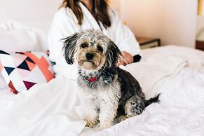 Le Meridien Denver Downtown