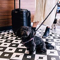 Le Meridien Denver Downtown