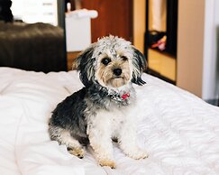 Le Meridien Denver Downtown