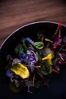 Kimpton Aertson Hotel by IHG