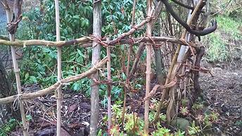 B&B Cinqueterre Il filo di Arianna