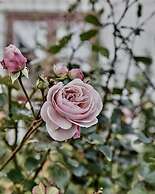 Strandhotellet - Blokhus