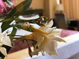 Hotel Kompleksi Arifi