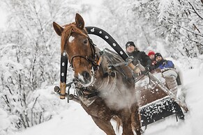 Aurora Village Ivalo