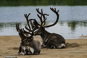 Aurora Village Ivalo