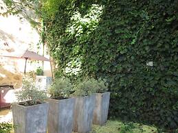 Clos de la Colombe