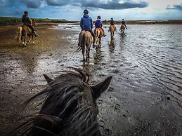 Bakki Hostel and Apartments