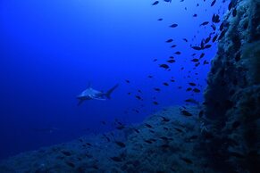 Albergo I Dammusi Di Borgo Cala Creta