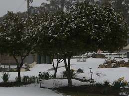 Rainbow Pines Tourist Caravan Park