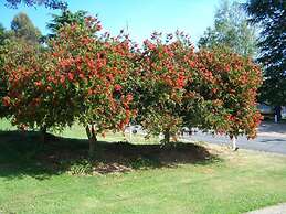 Rainbow Pines Tourist Caravan Park