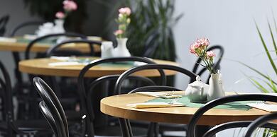 Hotel At the White Lily