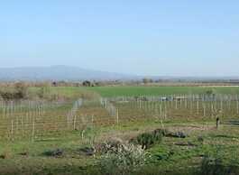 Agriturismo il Marrugio