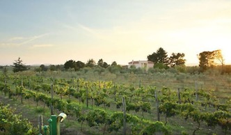 Agriturismo il Marrugio
