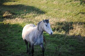 Castle Murray House Boutique B&B