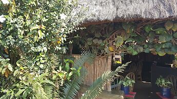 Phenicia Motel