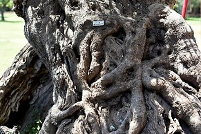 Agriturismo Santa Chiara